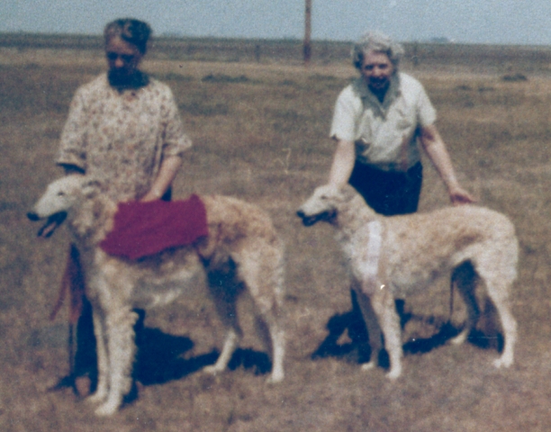 Ch Hollister of Rancho Gabriel, Ch Moselle of
Rancho Gabriel and Lyle Gillette in the coursing field